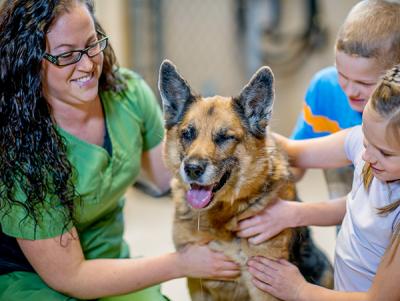 Jobs and Skills WA: Animal care courses