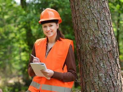 Forest worker leaning on tree