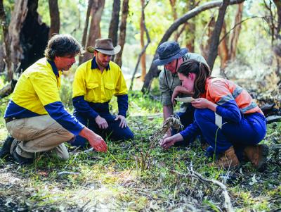 Jobs and Skills WA: Conservation and land management courses