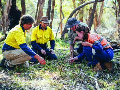 Jobs and Skills WA: Green jobs, conservation and land management, ecodiversity courses
