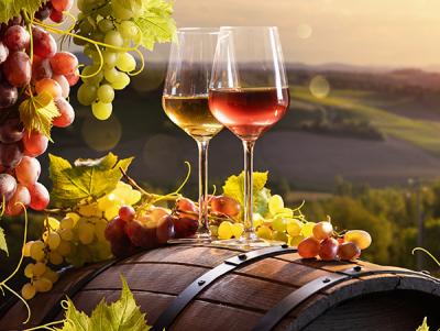 Jobs and Skills WA: Viticulture courses