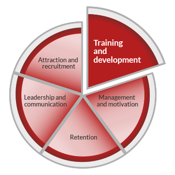 A pie chart graphic representing workforce development. The circle is divided into five segments, indicating five core areas of workforce development. These are labelled as attraction and recruitment, training and development, management and motivation, retention and leadership and communication. The training and development segment is highlighted.